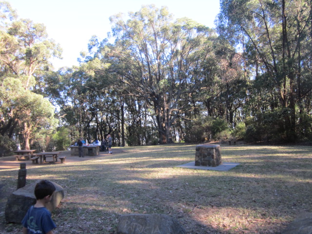 One Tree Hill picnic ground