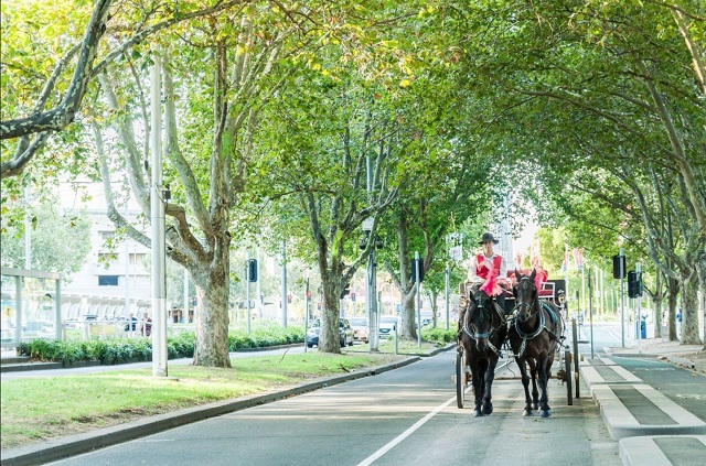 A Classic Carriage Hire (Central Melbourne)