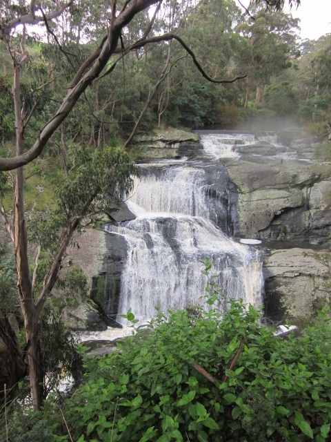 Agnes Falls, Hazel Park