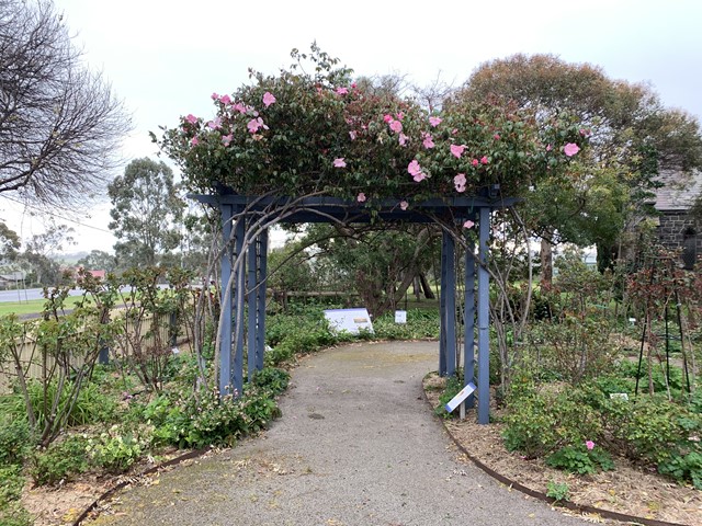Alister Clark Memorial Rose Garden (Bulla)