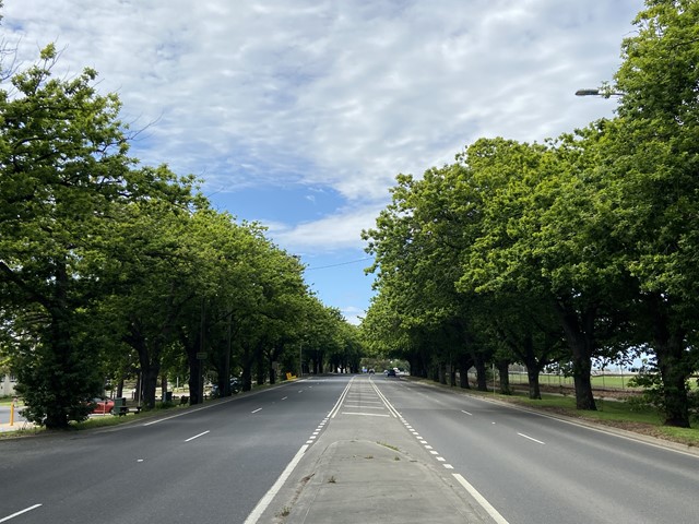 The Avenues of Honour (City of Casey)
