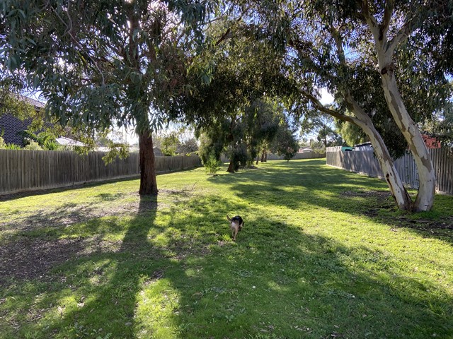 Bamber Reserve Dog Off Leash Area (Scoresby)
