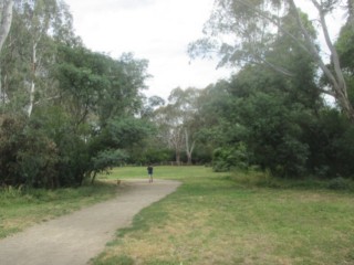 Banksia Park Fenced Dog Park (Bulleen)