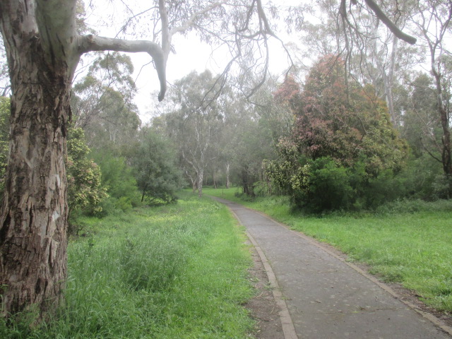 Banksia Park (Bulleen)