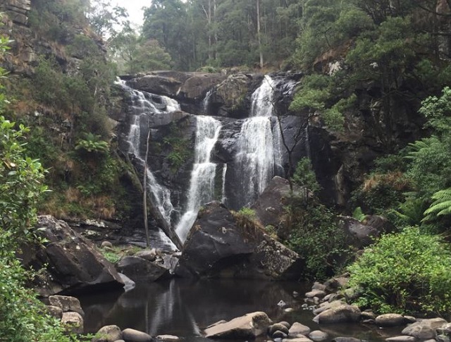 Barramunga - Stevensons Falls