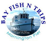 Bay Fish N Trips (Mornington)