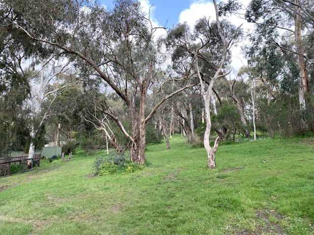 Belmont Reserve Dog Off Leash Area (Montmorency)