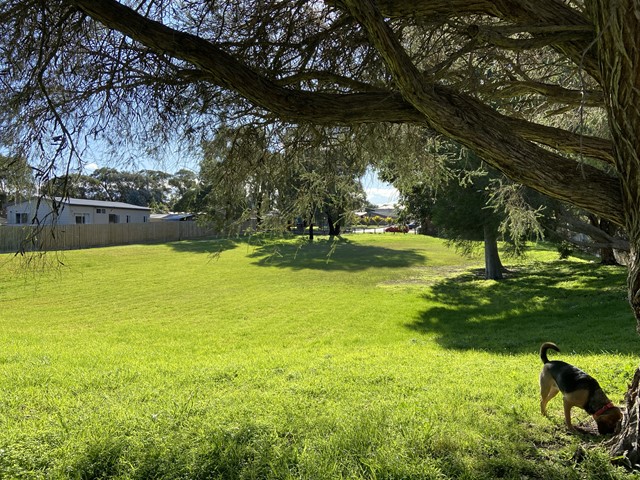 Bewsell Reserve Dog Off Leash Area (Scoresby)