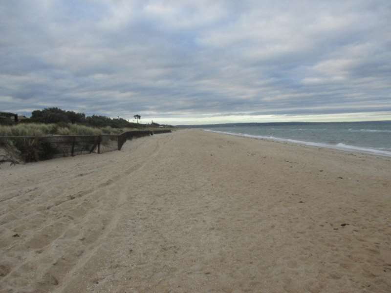Bonbeach Beach Dog Off Leash Area (Bonbeach)