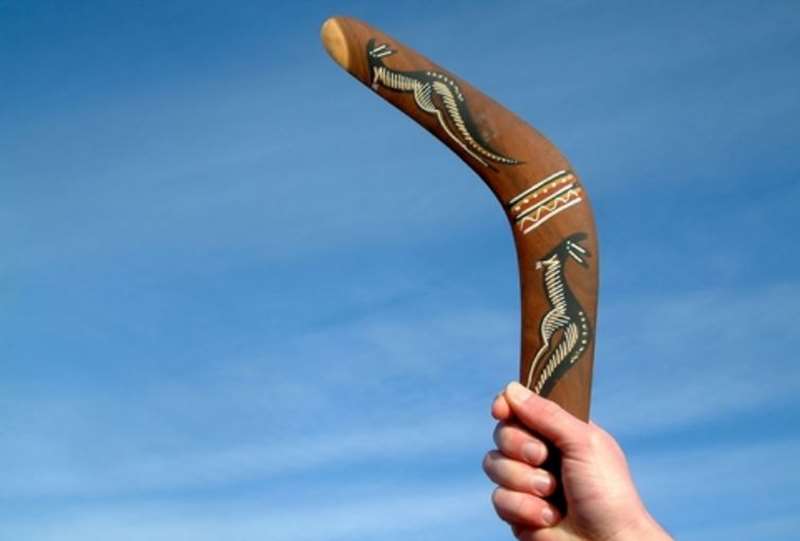 How Does a Boomerang Move Through the Air?