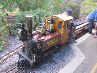 Box Hill Miniature Steam Railway (Box Hill)