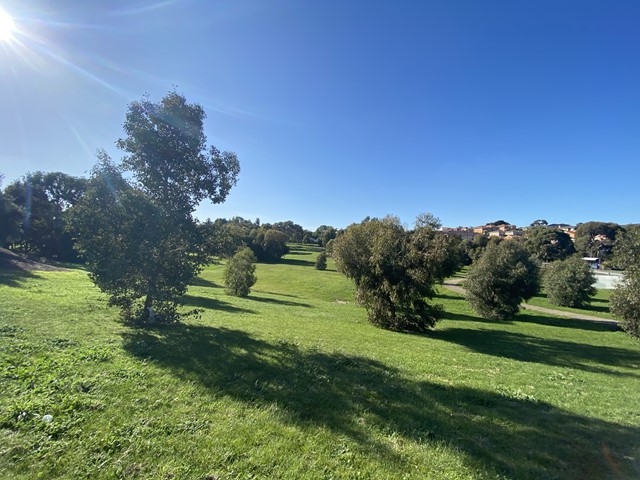 Broadmeadows Valley Park (Northern Reach) Dog Off Leash Area (Meadow Heights)