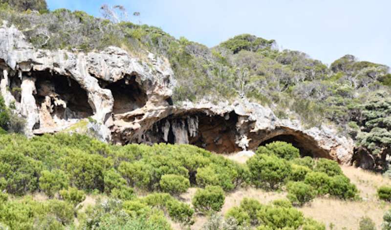Cape Bridgewater - Tarragal Caves