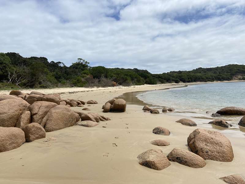Cape Woolamai Walks (Phillip Island)