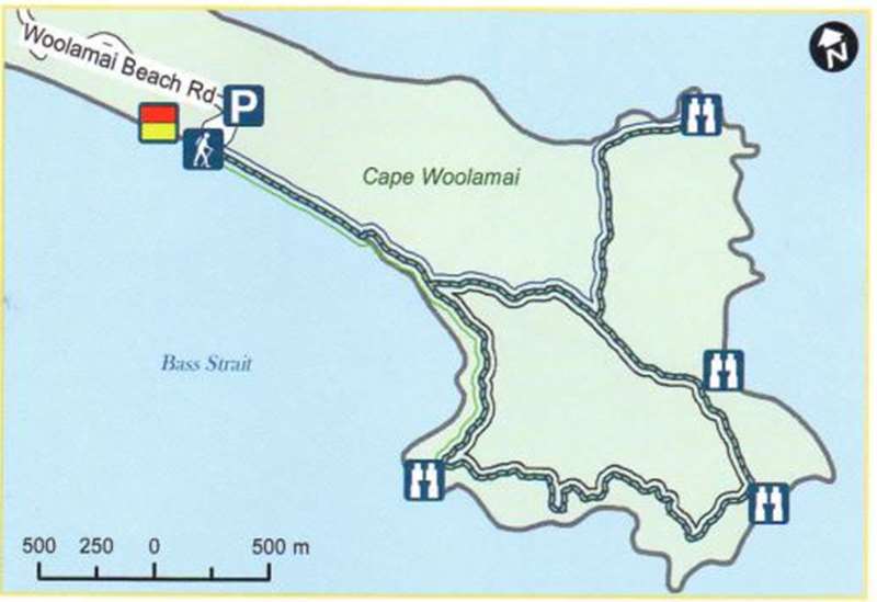 Cape Woolamai Walks (Phillip Island)