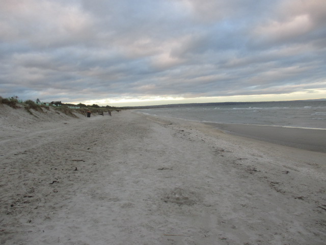 Carrum Beach Dog Off Leash Area (Carrum)