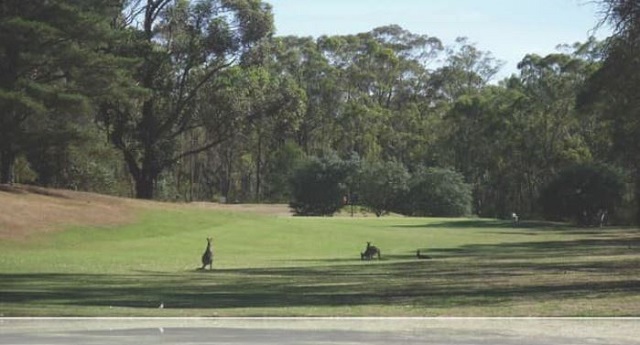 Castlemaine Golf Course (Muckleford)