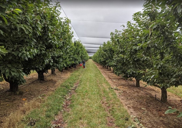 Cherryhill Orchards (Wandin East)