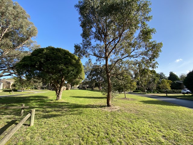 Chichester Square Reserve Dog Off Leash Area (Wantirna)