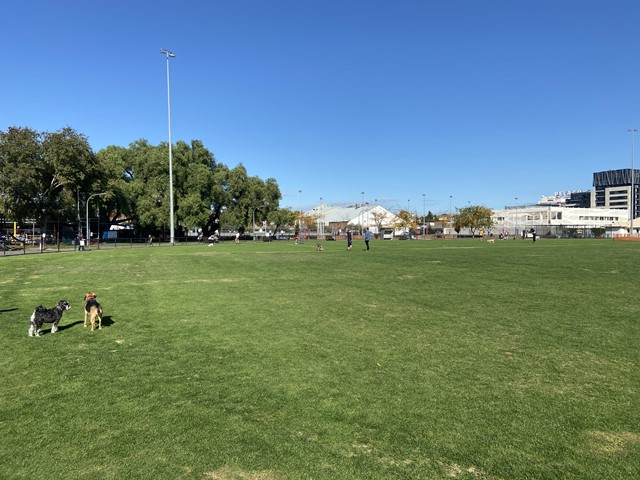 Citizens Park Dog Off Leash Area (Richmond)