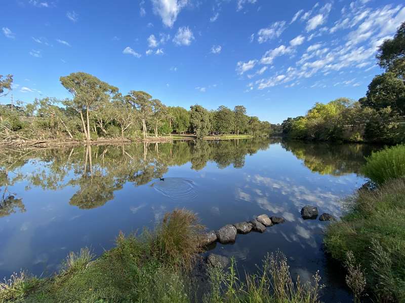 Coburg Lake Reserve (Coburg North)