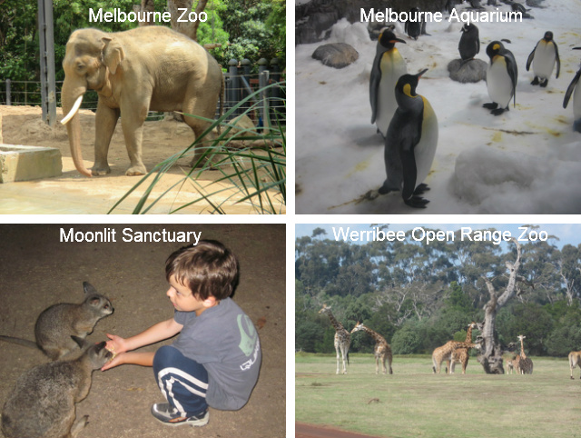 Family Animal and Zoo Activities in Melbourne