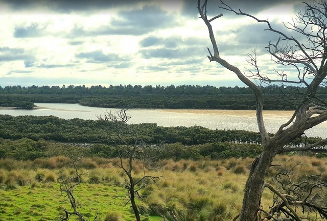 Conservation Hill and Rhyll Inlet Walk (Phillip Island)