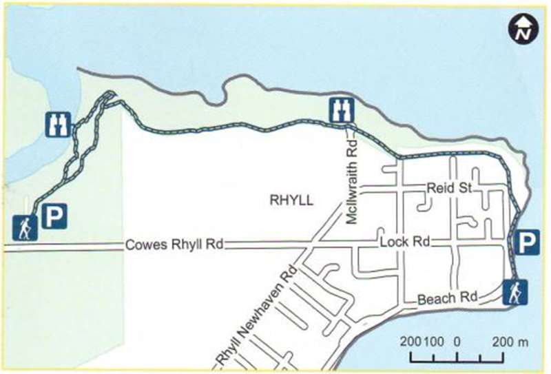 Conservation Hill and Rhyll Inlet Walk (Phillip Island)