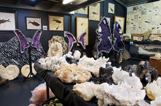 Crystal World & Prehistoric Journeys Exhibitions (Devon Meadows)