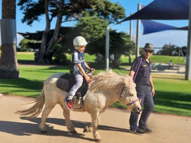 Cute and Cuddly Pony Rides (Port Melbourne)