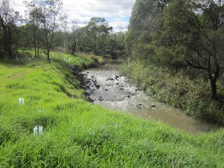 Dandenong Creek Trail (Wellington Rd - Tirhatuan Park) (Mulgrave)