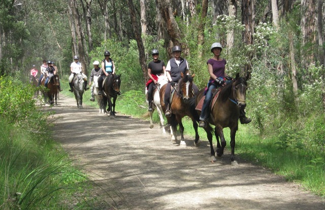 Guide to Horse Trail Rides in Melbourne and Victoria