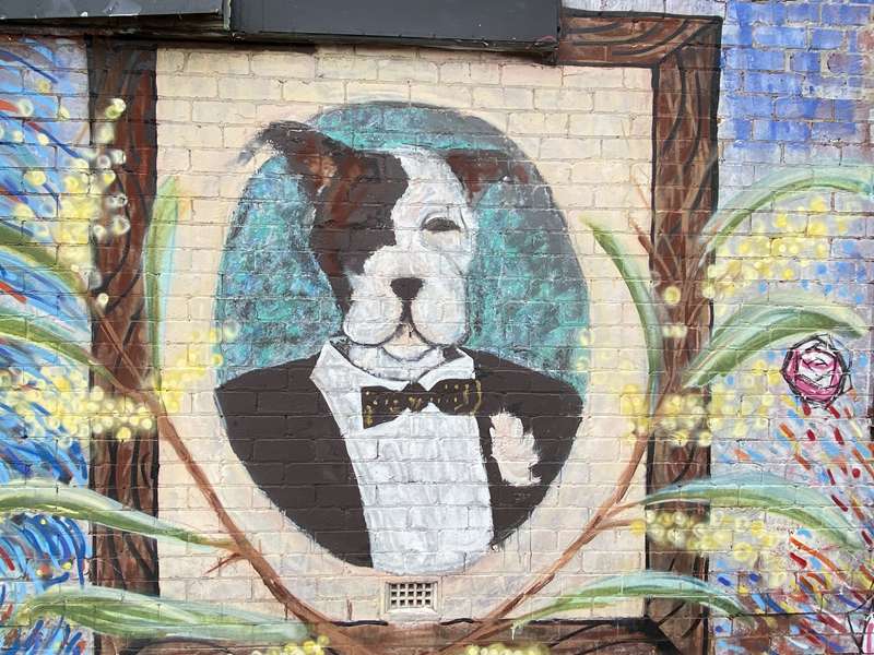 Darebin Council Public and Street Art