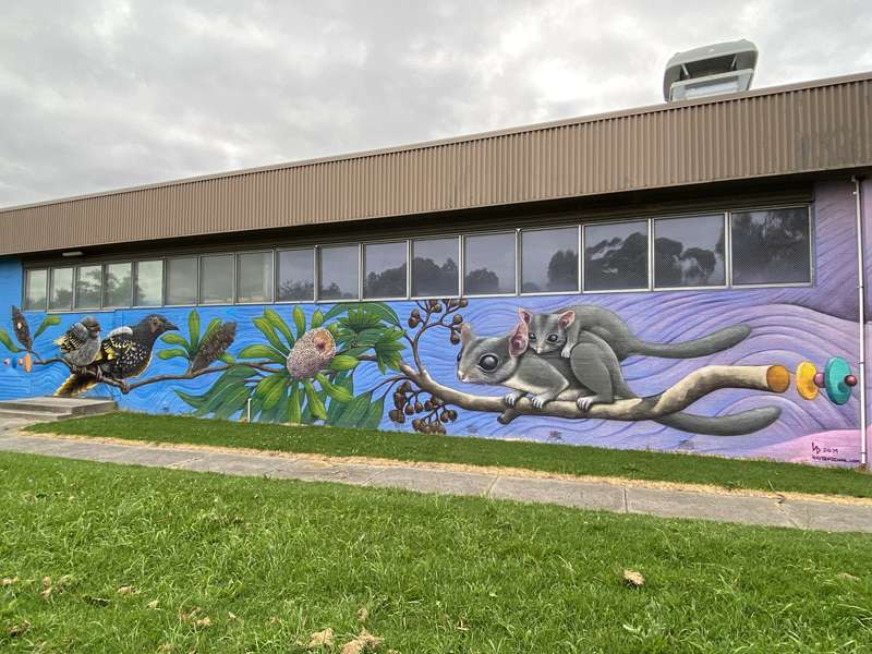 Darebin Council Public and Street Art
