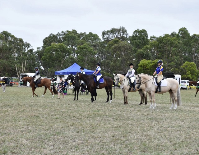 Dingley Riders Club (Patterson Lakes)