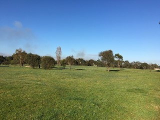 Dunns Road Reserve Dog Off Leash Area (Mount Martha)