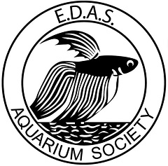Eastern Districts Aquarium Society (Nunawading)
