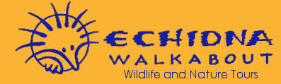 Echidna Walkabout Nature Tours (Melbourne)