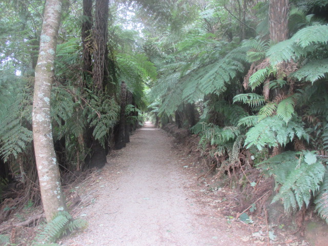Emerald-Cockatoo Trail