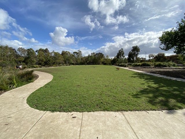 Emerson Place Reserve Fenced Dog Park (Rowville)