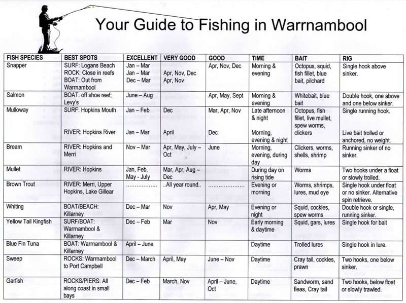 Guide to Fishing in Warrnambool