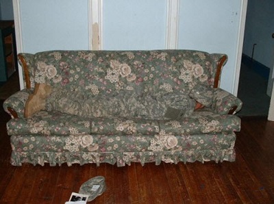 Funny Photos Camouflage