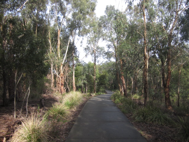 Gardiners Creek Reserve (Ashwood - Burwood)