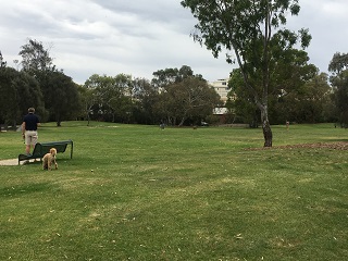 Gasworks Park Dog Off Leash Area (Albert Park)