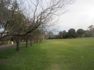 Glen Waverley Golf Course Adjacent Dog Off Leash Area (Wheelers Hill)