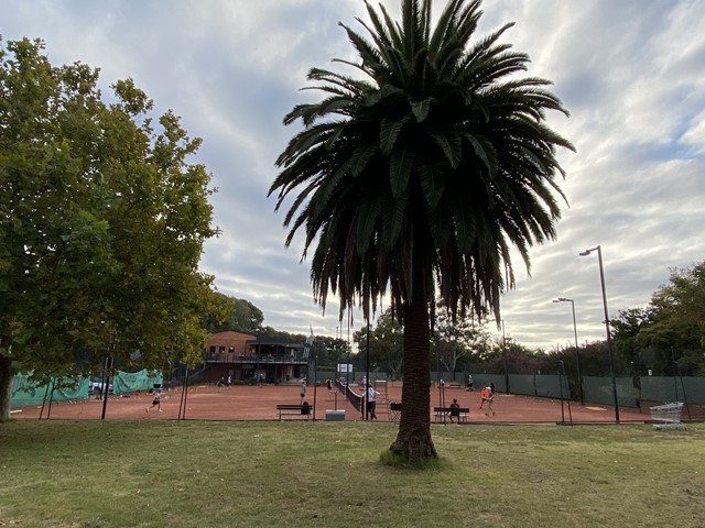 Grace Park Hawthorn Club Tennis (Hawthorn)