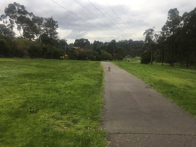 Green Gully Linear Park Dog Off Leash Area (Templestowe)