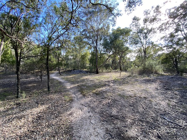 Gumtree Reserve Dog Off Leash Area (Research)