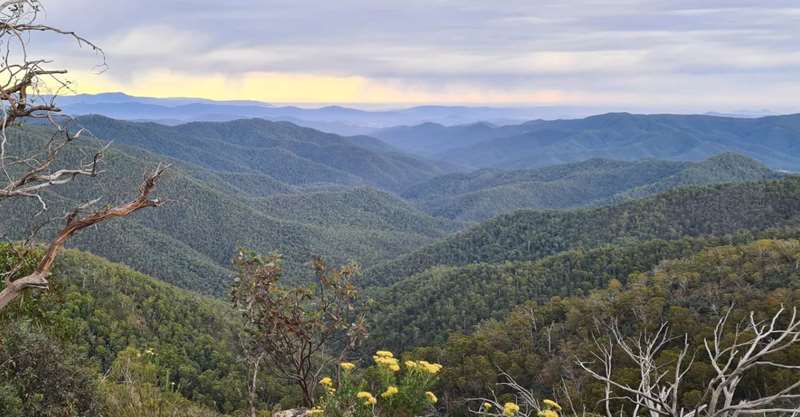 Mount Buller - High Country Hiking Tours