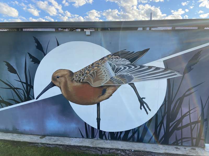 Hobsons Bay Public and Street Art